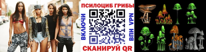 цены Советская Гавань Псилоцибиновые грибы Magic Shrooms